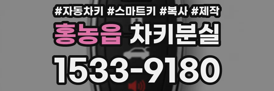 홍농읍 차키분실
