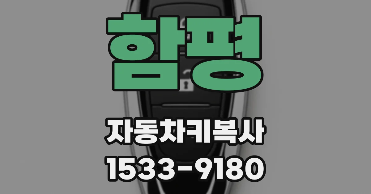 함평 자동차키복사