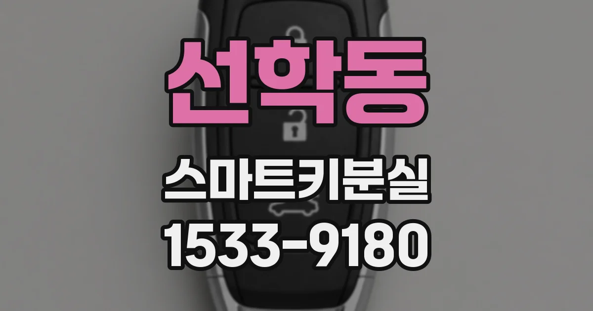 선학동 스마트키분실