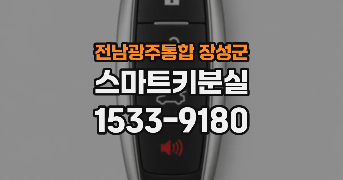 전남광주통합 장성군 스마트키분실