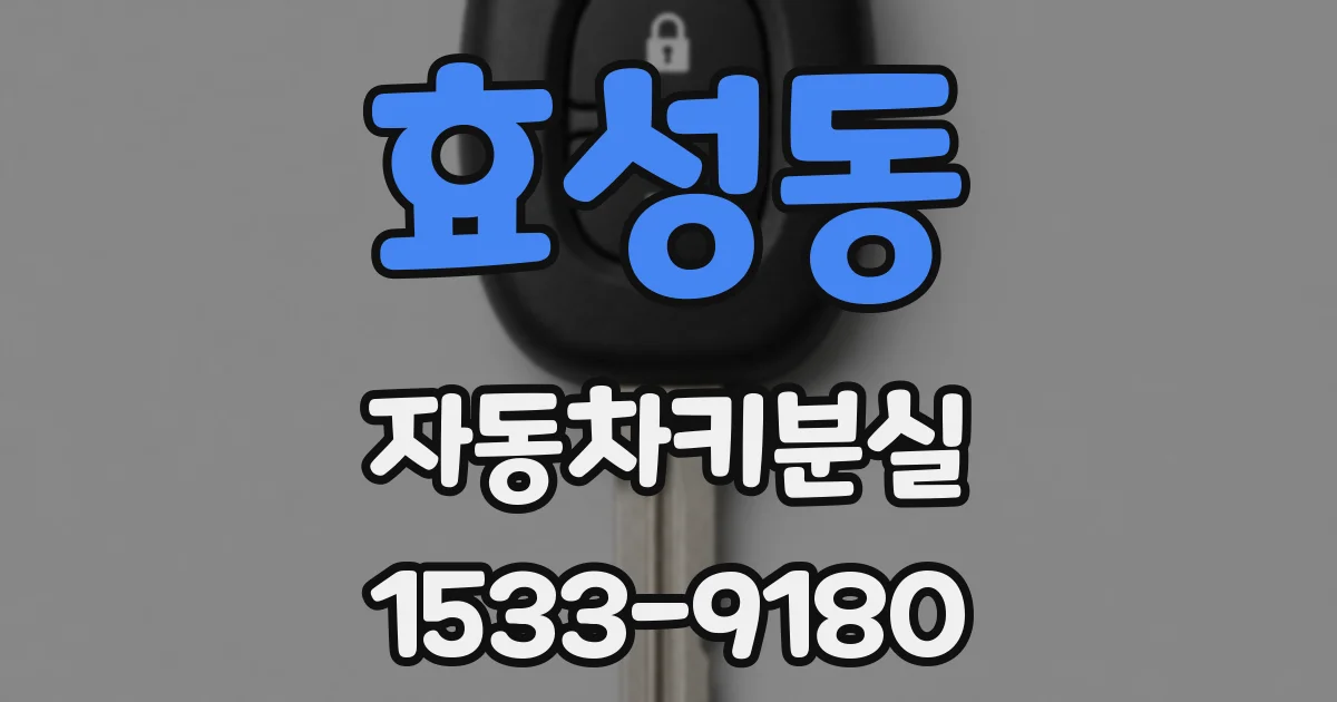 효성동 자동차키분실
