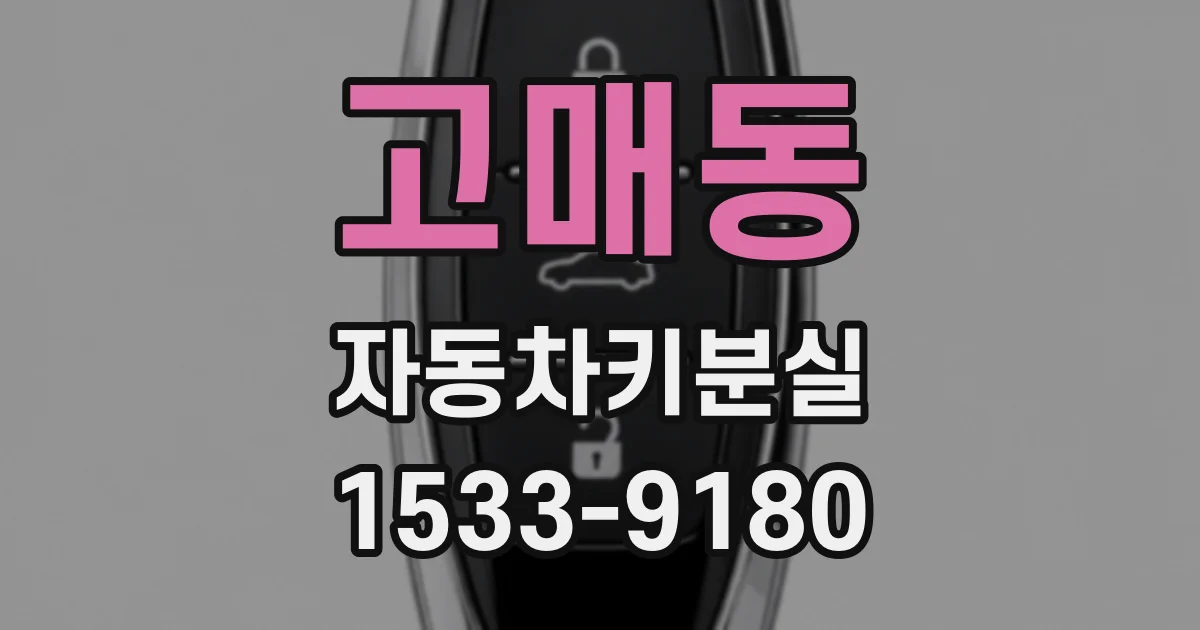 고매동 자동차키분실