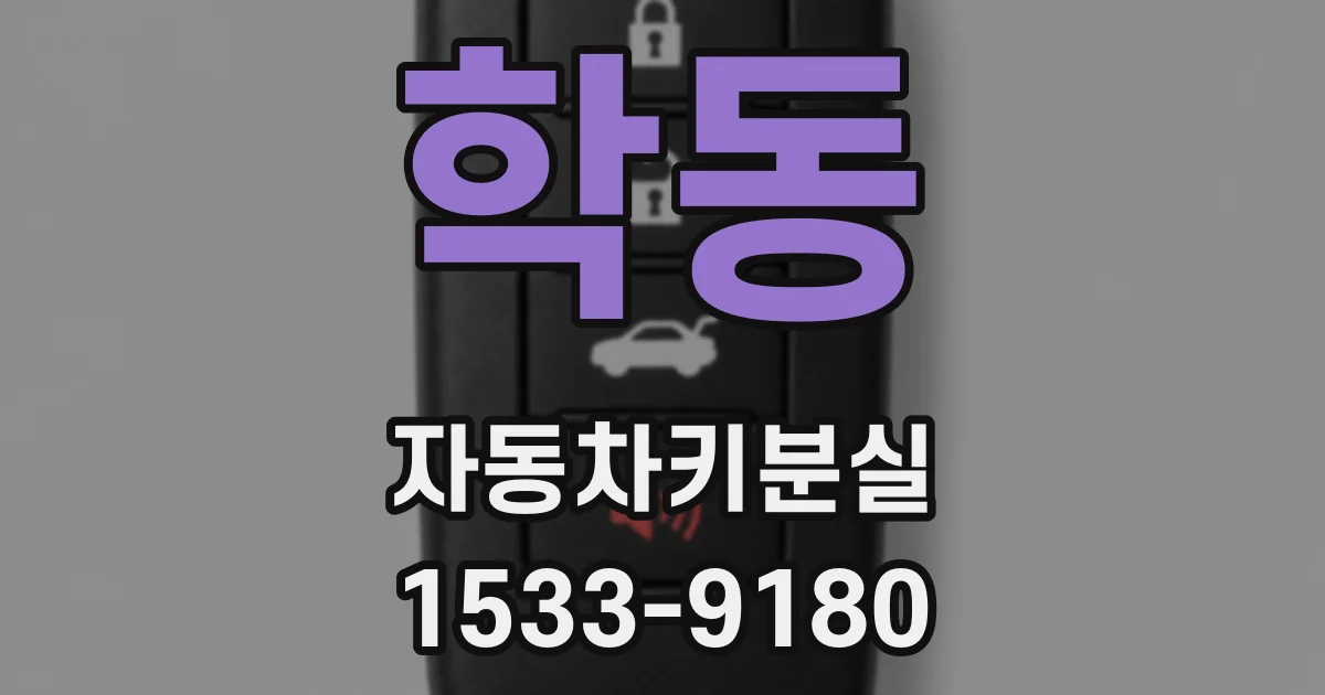 학동 자동차키분실