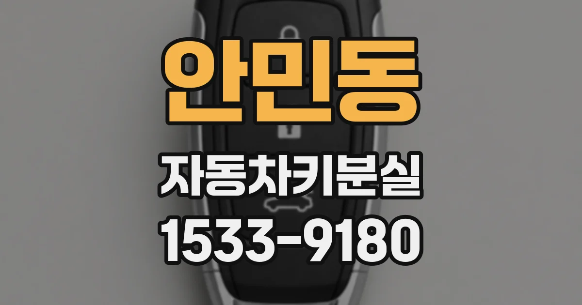 안민동 자동차키분실