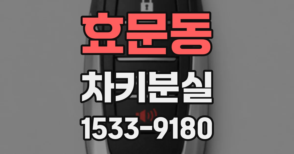 효문동 차키분실