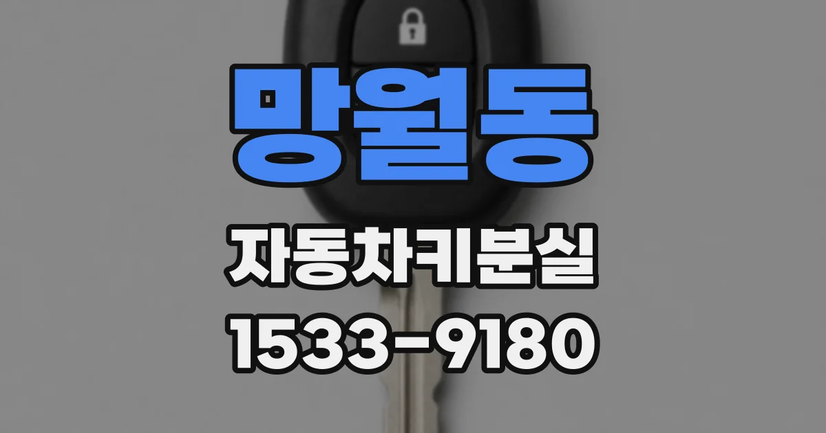 망월동 자동차키분실