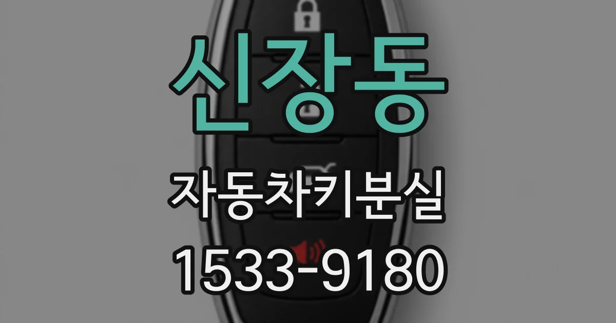 신장동 자동차키분실