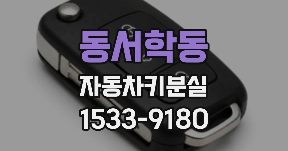 동서학동 자동차키분실