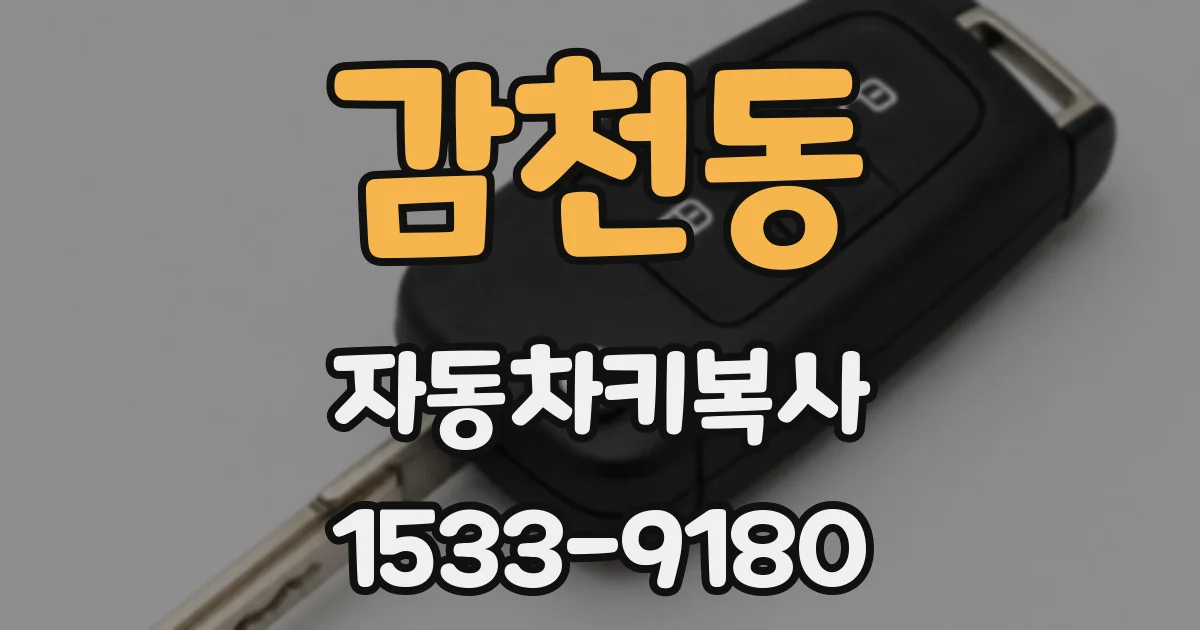 감천동 자동차키복사