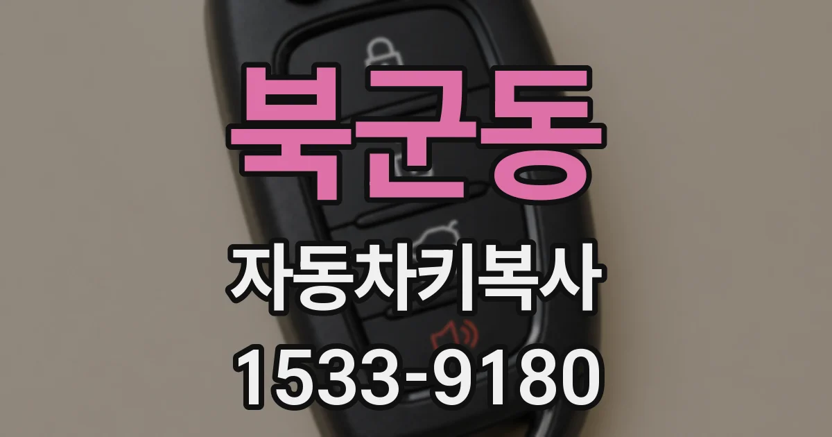 북군동 자동차키복사