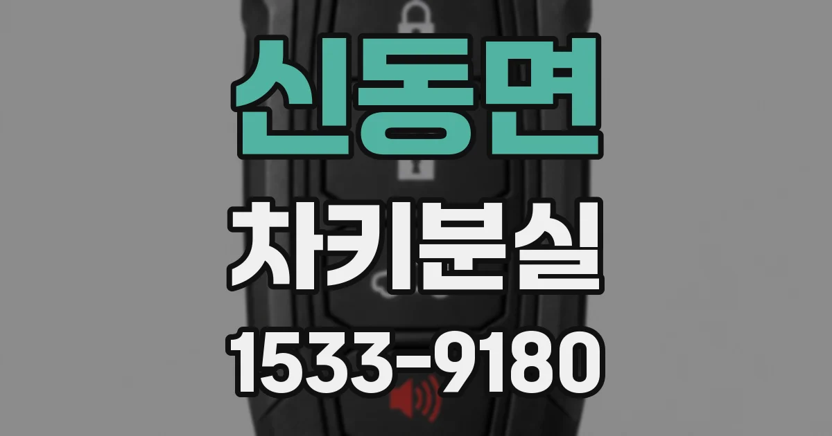 신동면 차키분실