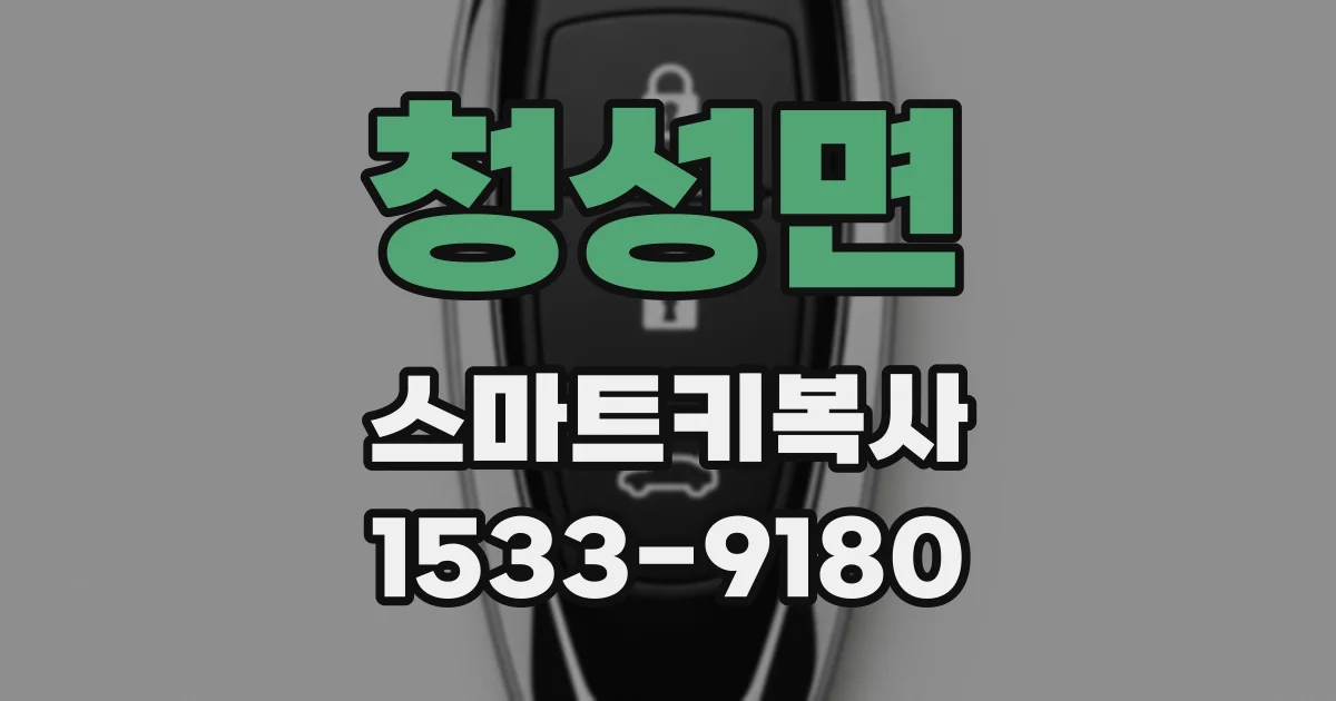 청성면 스마트키복사