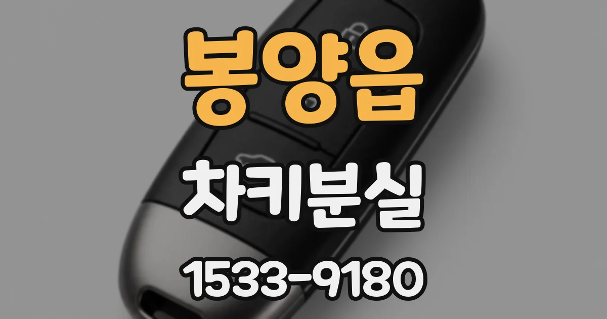 봉양읍 차키분실