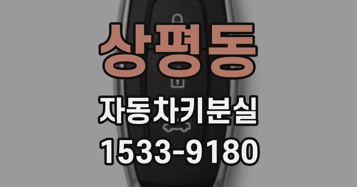 상평동 자동차키분실