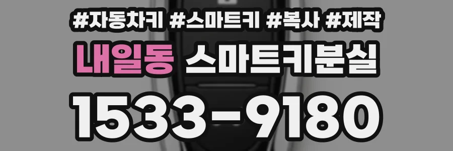 내일동 스마트키분실