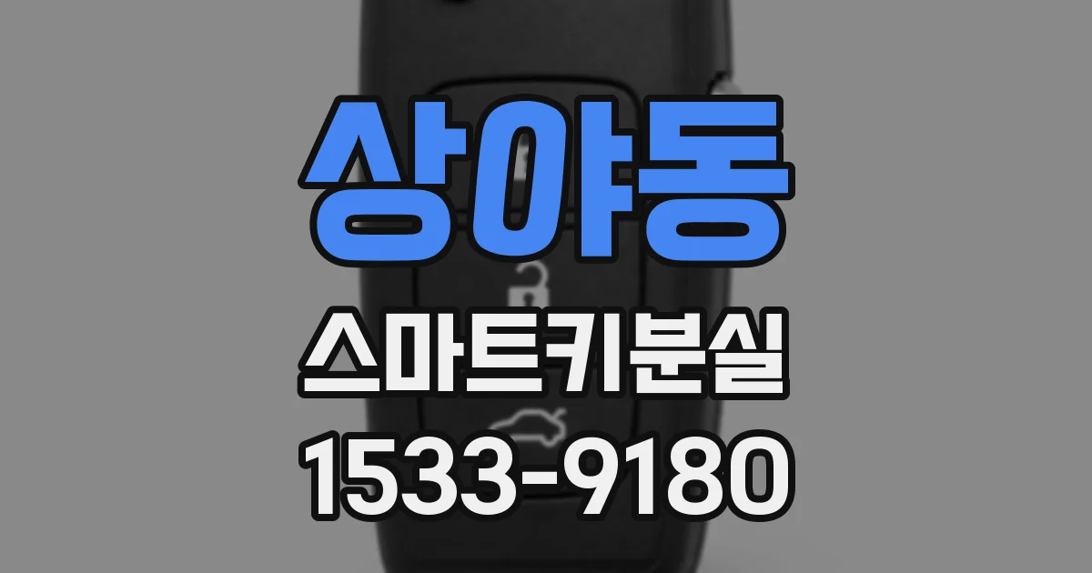 상야동 스마트키분실