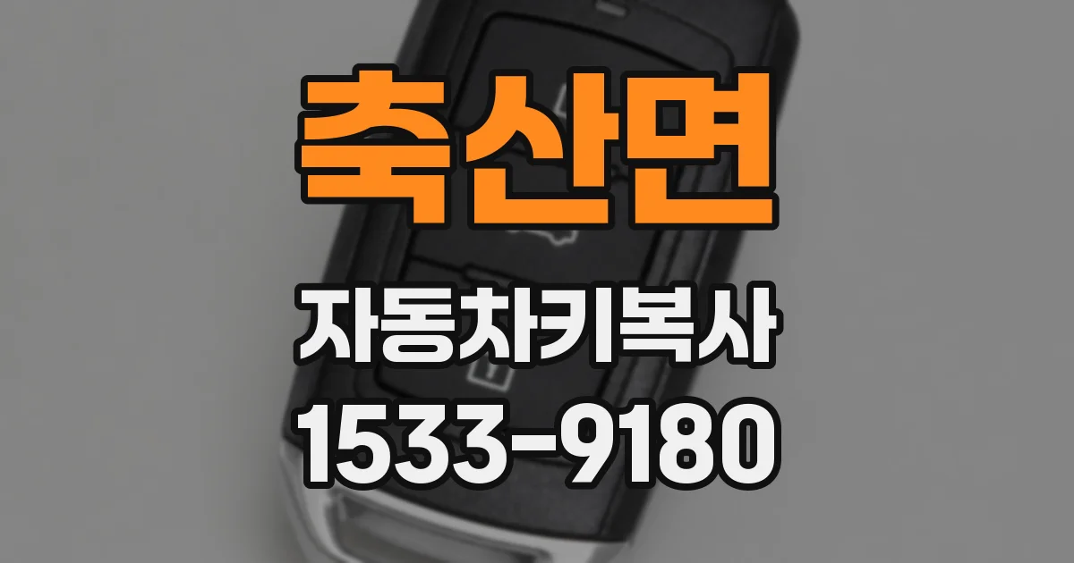 축산면 자동차키복사