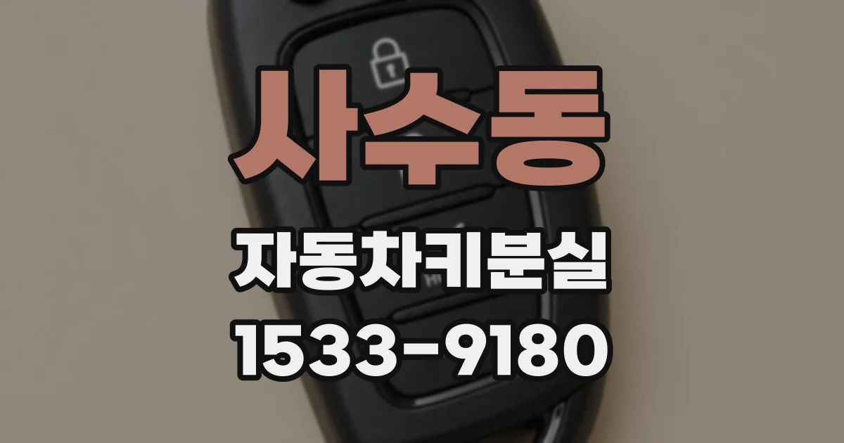 사수동 자동차키분실