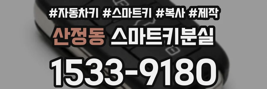 산정동 스마트키분실