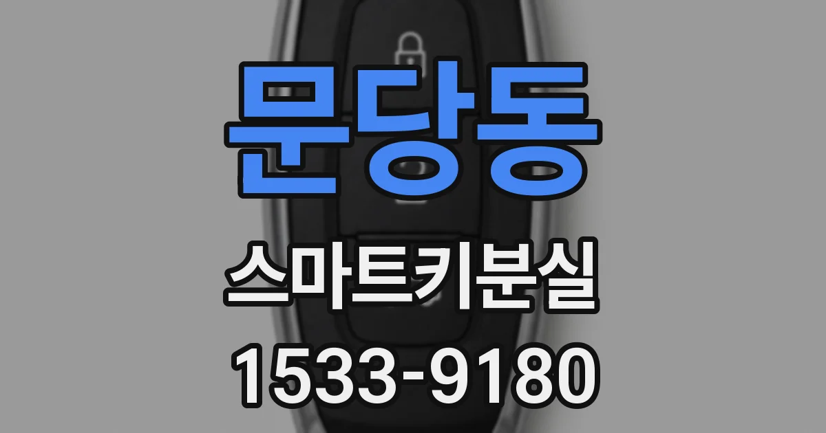 문당동 스마트키분실