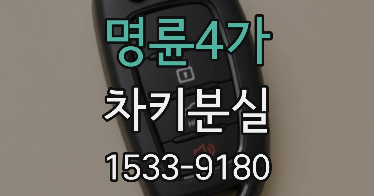 명륜4가 차키분실