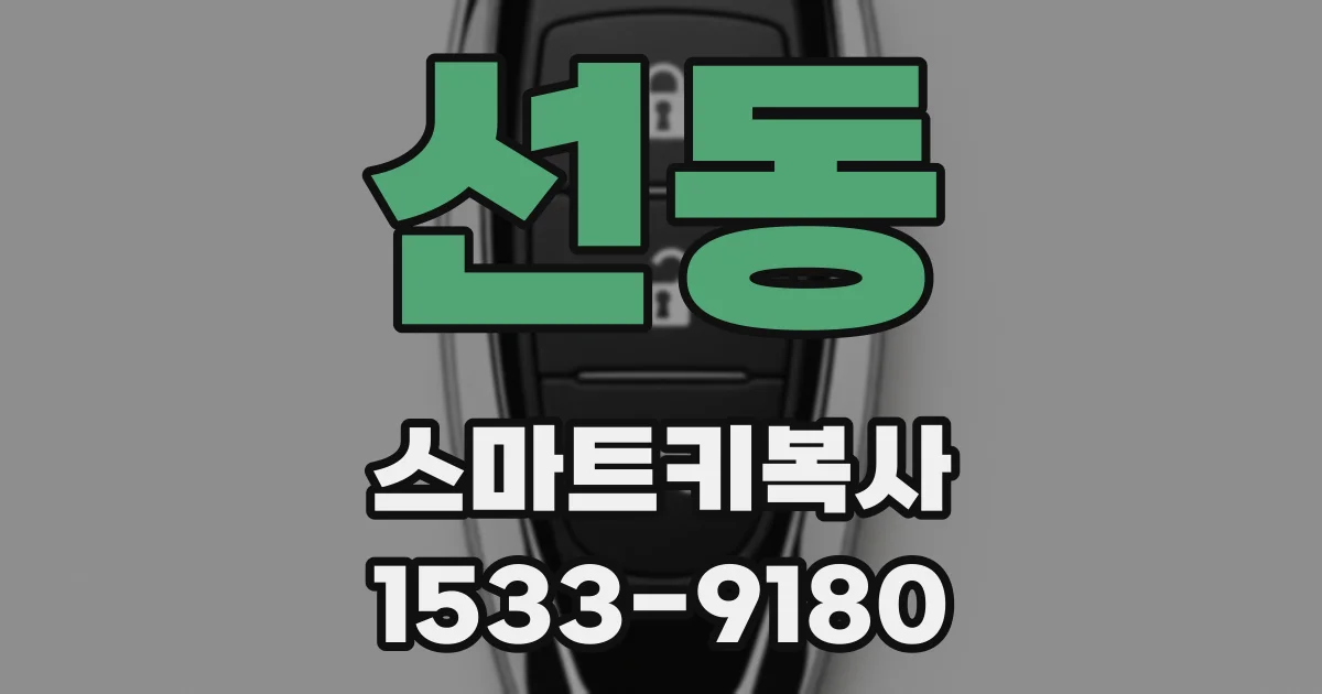 선동 스마트키복사