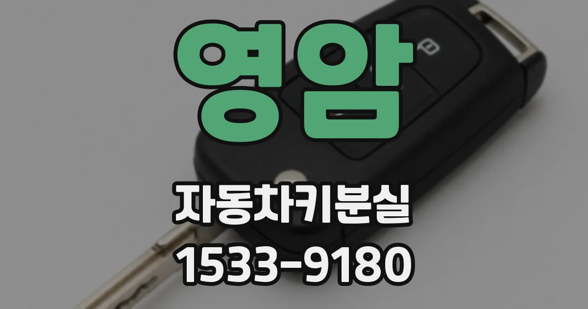 영암 자동차키분실