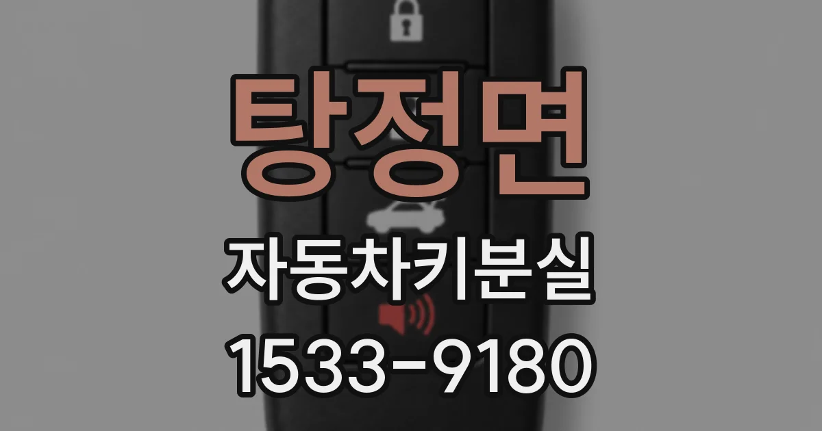 탕정면 자동차키분실