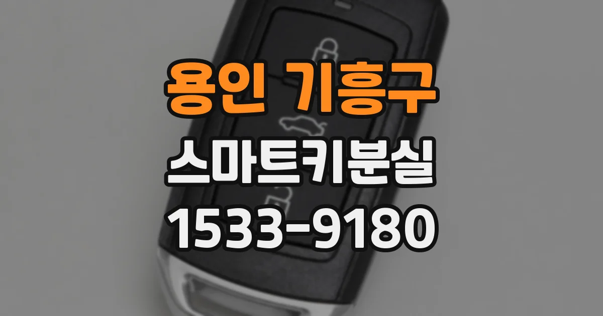 용인 기흥구 스마트키분실