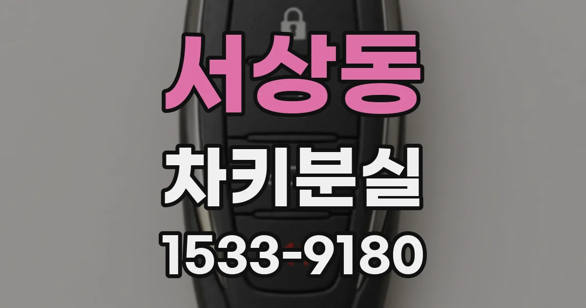 서상동 차키분실