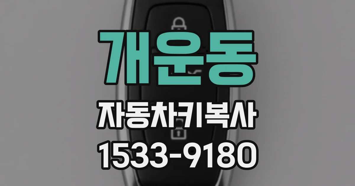 개운동 자동차키복사