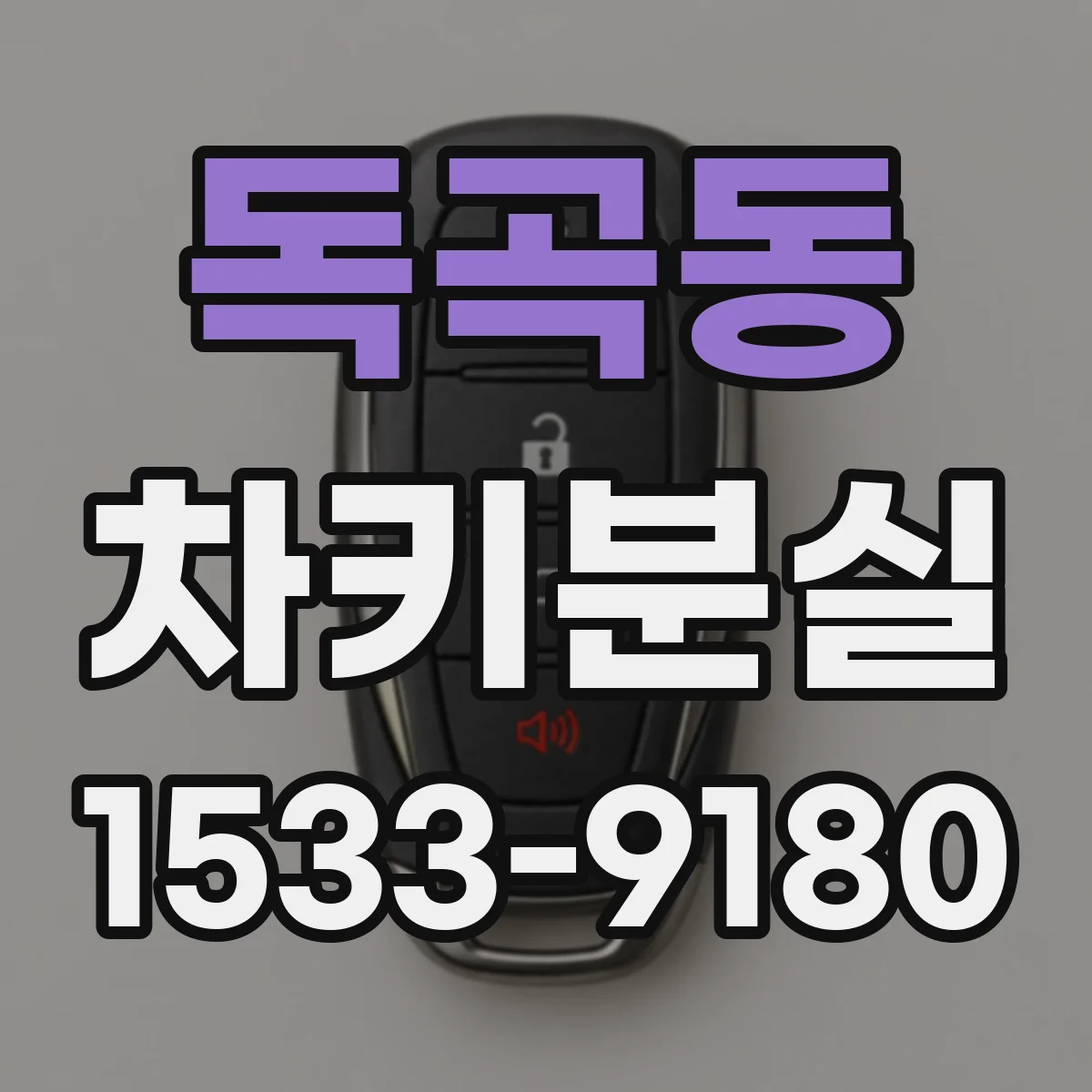 독곡동 차키분실