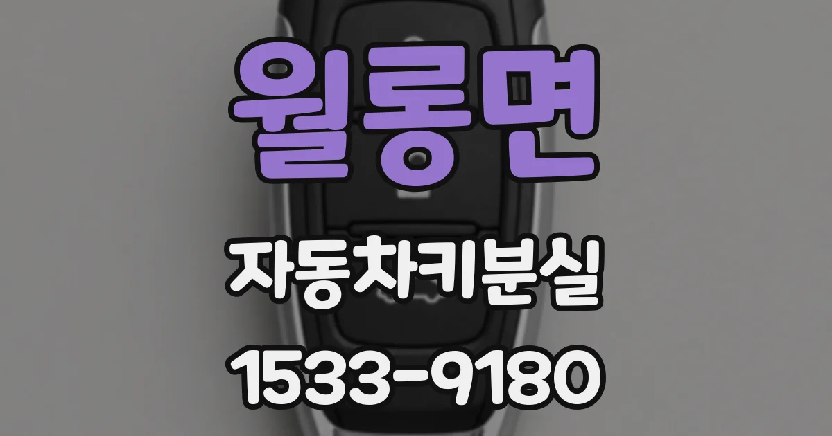 월롱면 자동차키분실