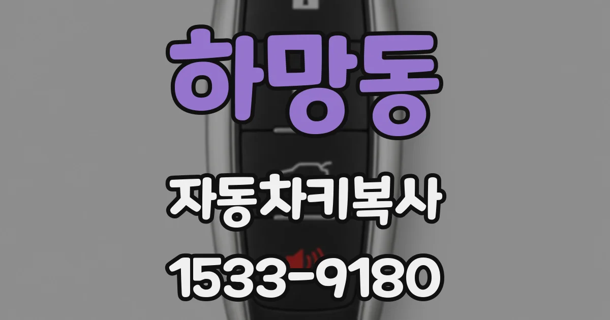 하망동 자동차키복사