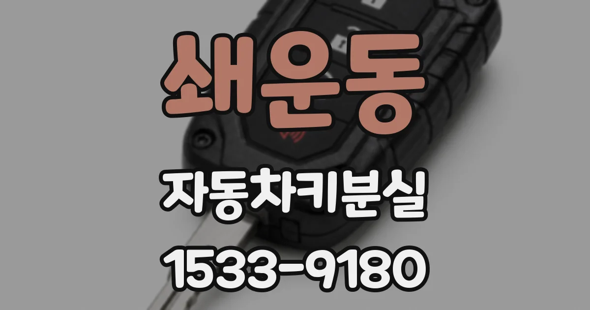 쇄운동 자동차키분실
