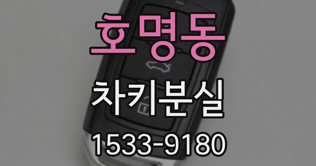 호명동 차키분실