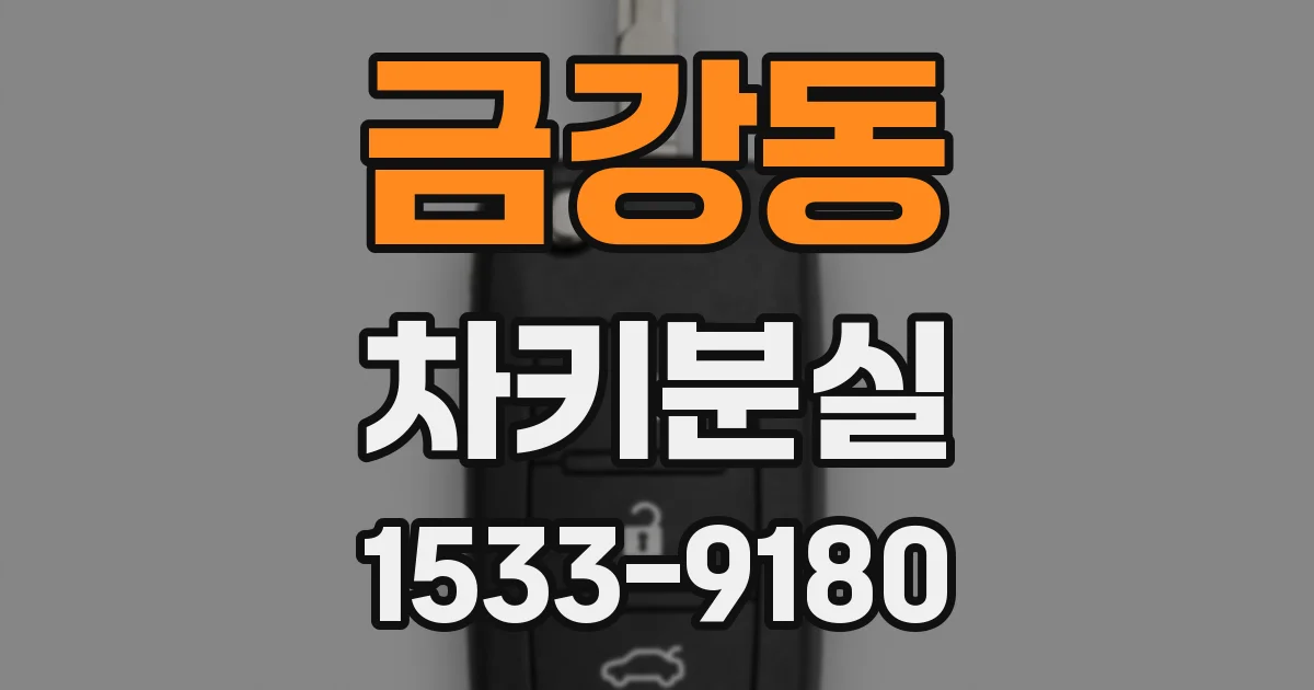 금강동 차키분실