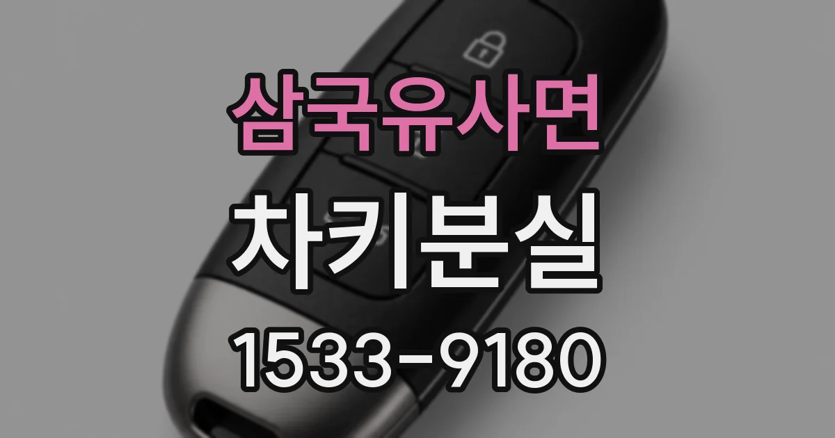 삼국유사면 차키분실