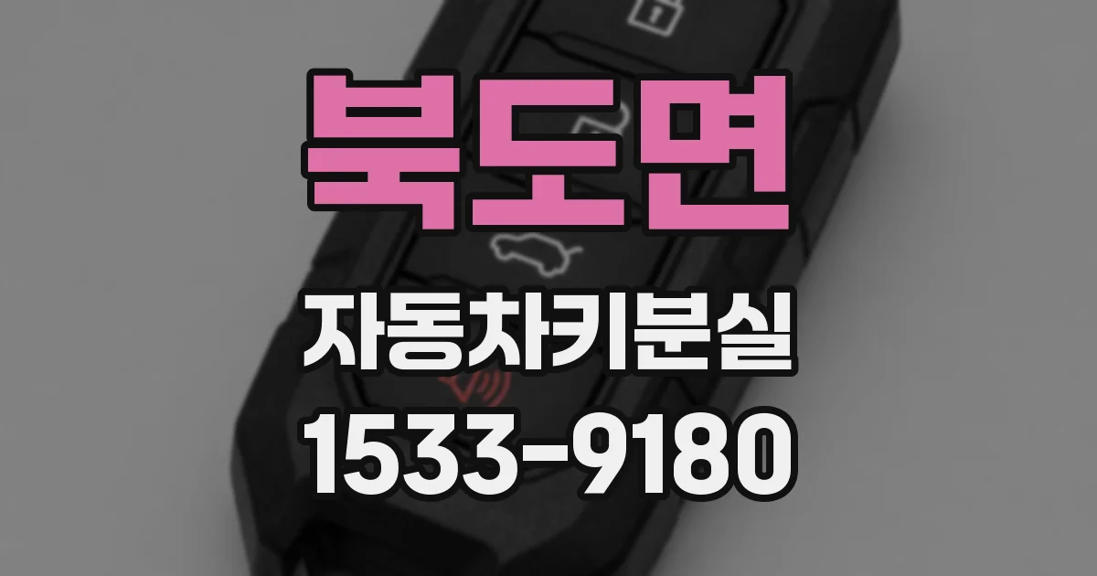 북도면 자동차키분실