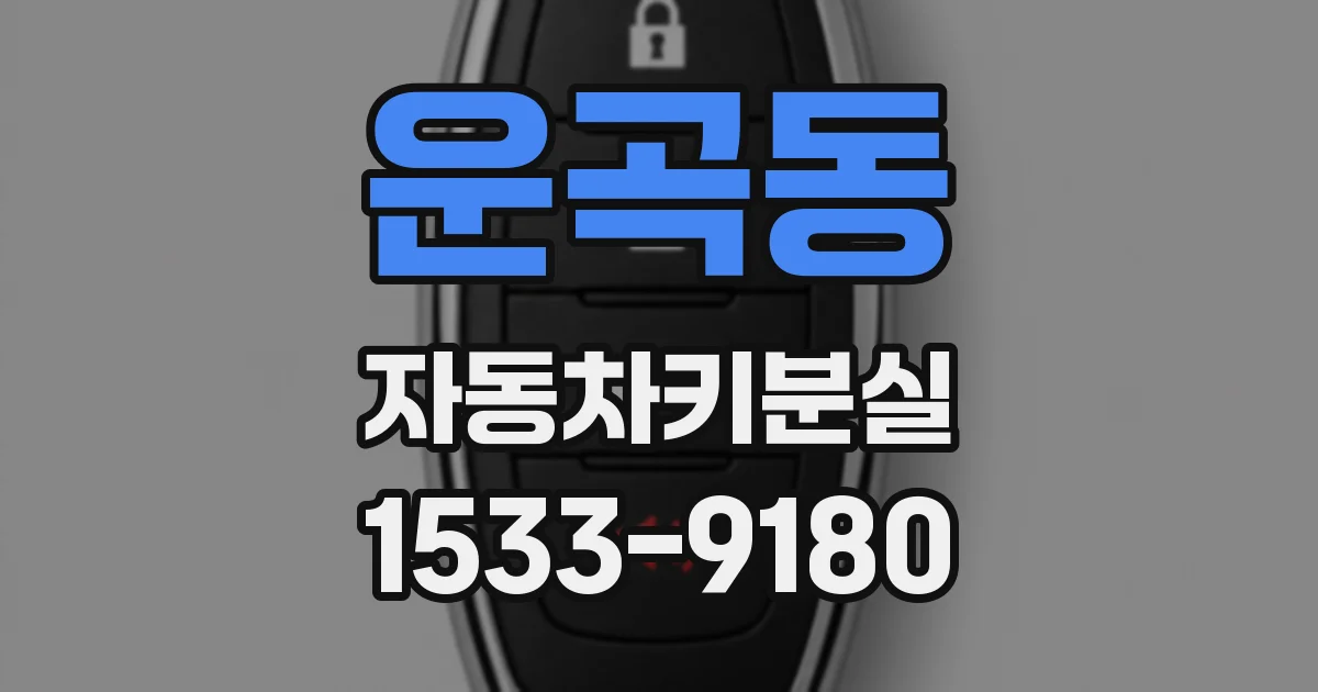 운곡동 자동차키분실