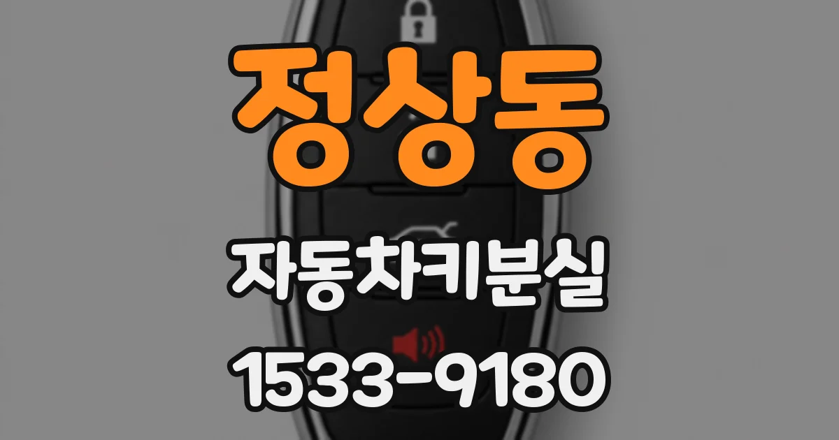 정상동 자동차키분실