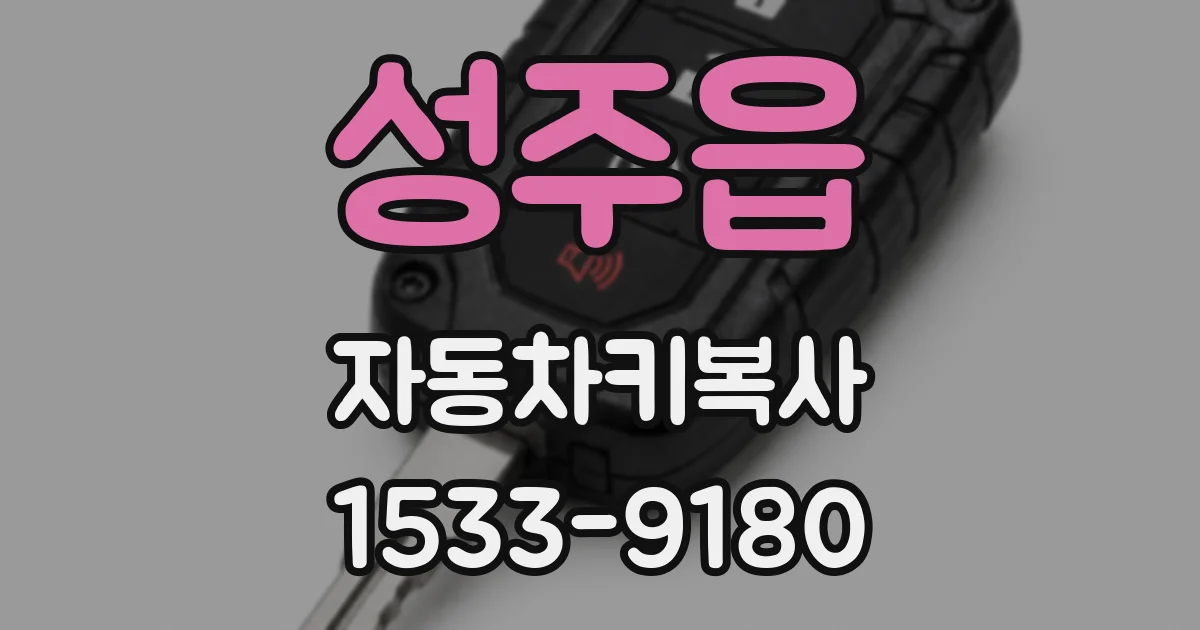 성주읍 자동차키복사