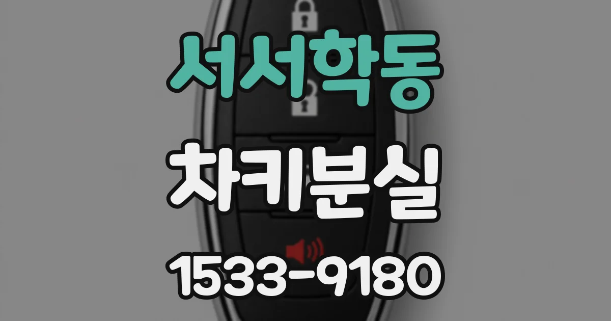서서학동 차키분실