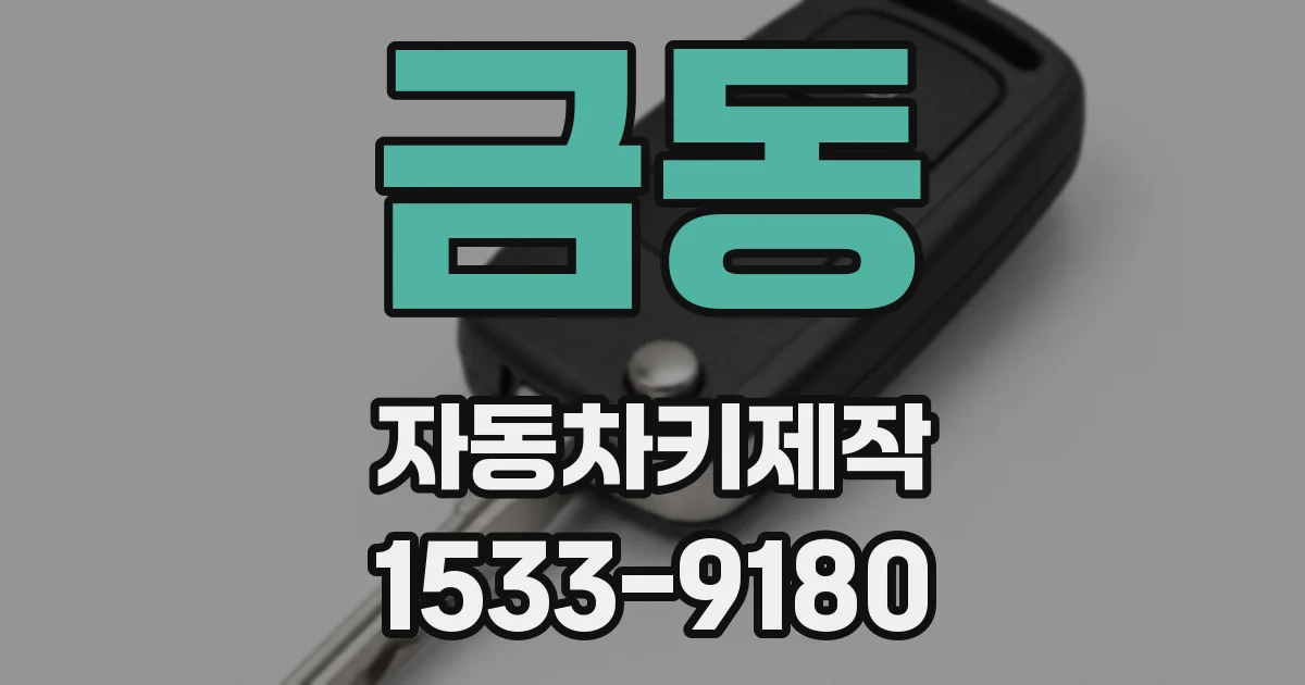금동 자동차키제작