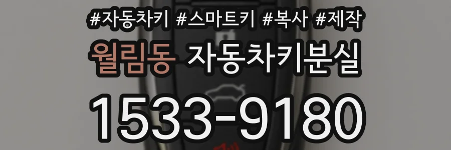 월림동 자동차키분실