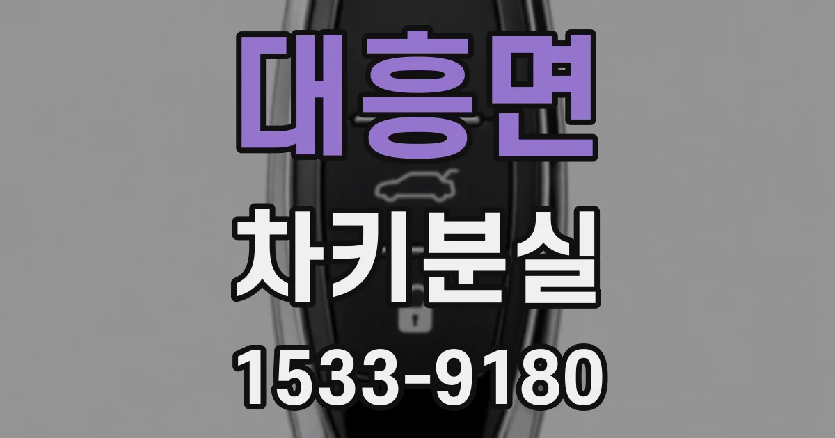 대흥면 차키분실
