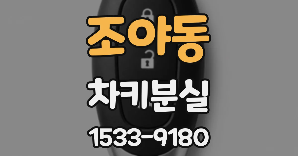 조야동 차키분실