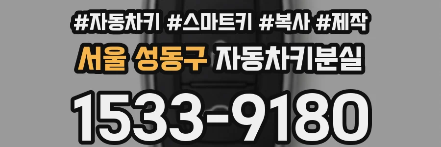 서울 성동구 자동차키분실