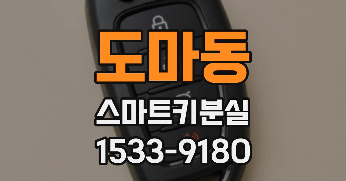 도마동 스마트키분실