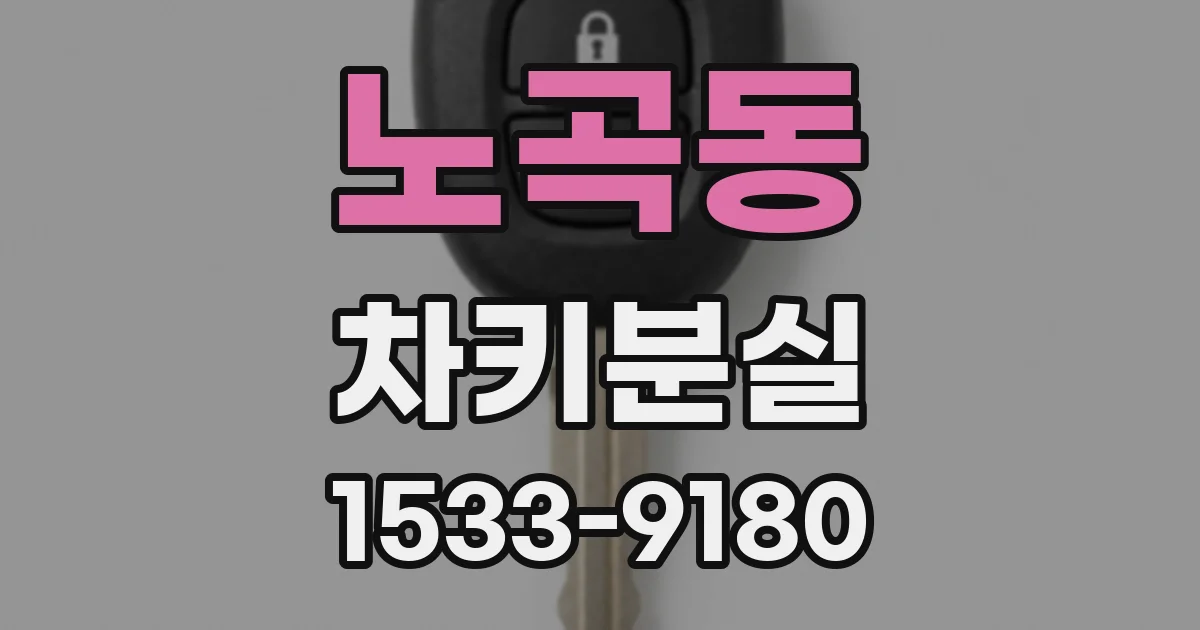 노곡동 차키분실